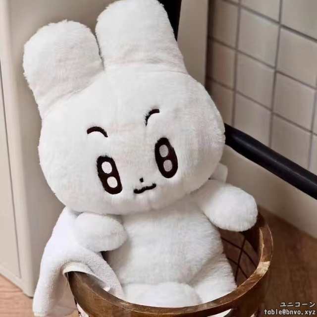 TXT ぬいぐるみ 40CM ヨンジュン スビン ボムギュ テヒョン ヒュニン 